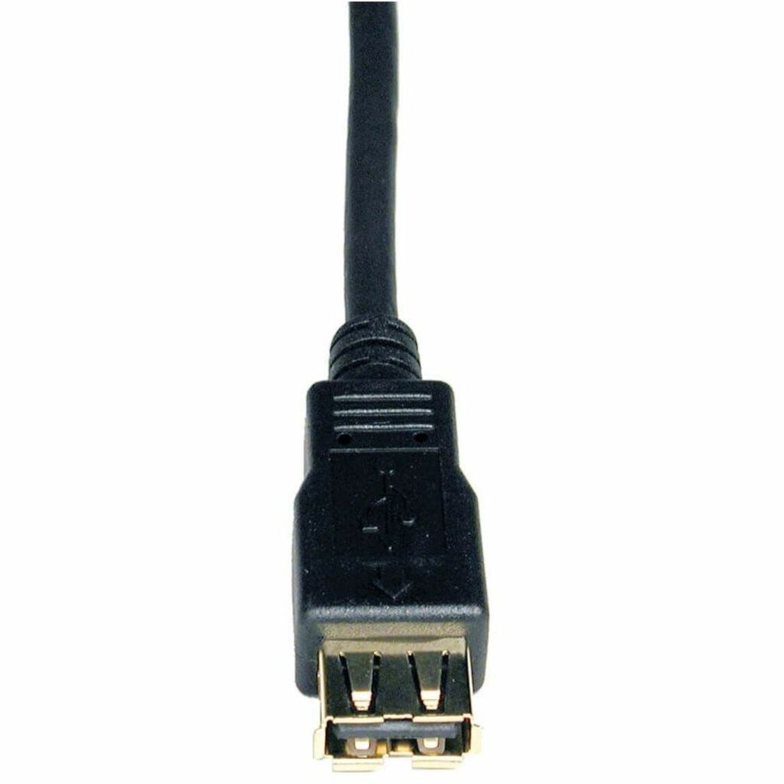 Detailed view of Tripp Lite USB 2.0 extension cable's female connector end showing gold-plated contacts-alternate-image2