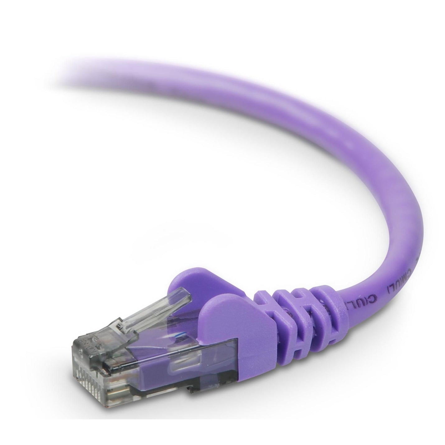 Close-up view of purple Belkin Cat6 network cable with transparent RJ-45 connector and snagless boot-alternate-image1