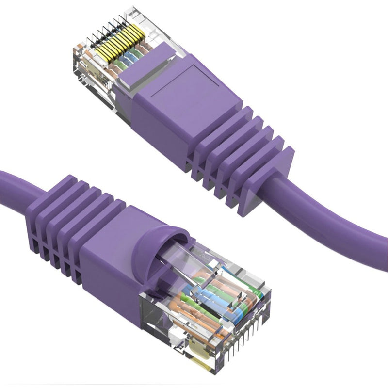 Close-up view of CAT6 cable connector showing internal wiring configuration with gold-plated contacts and purple snagless boot