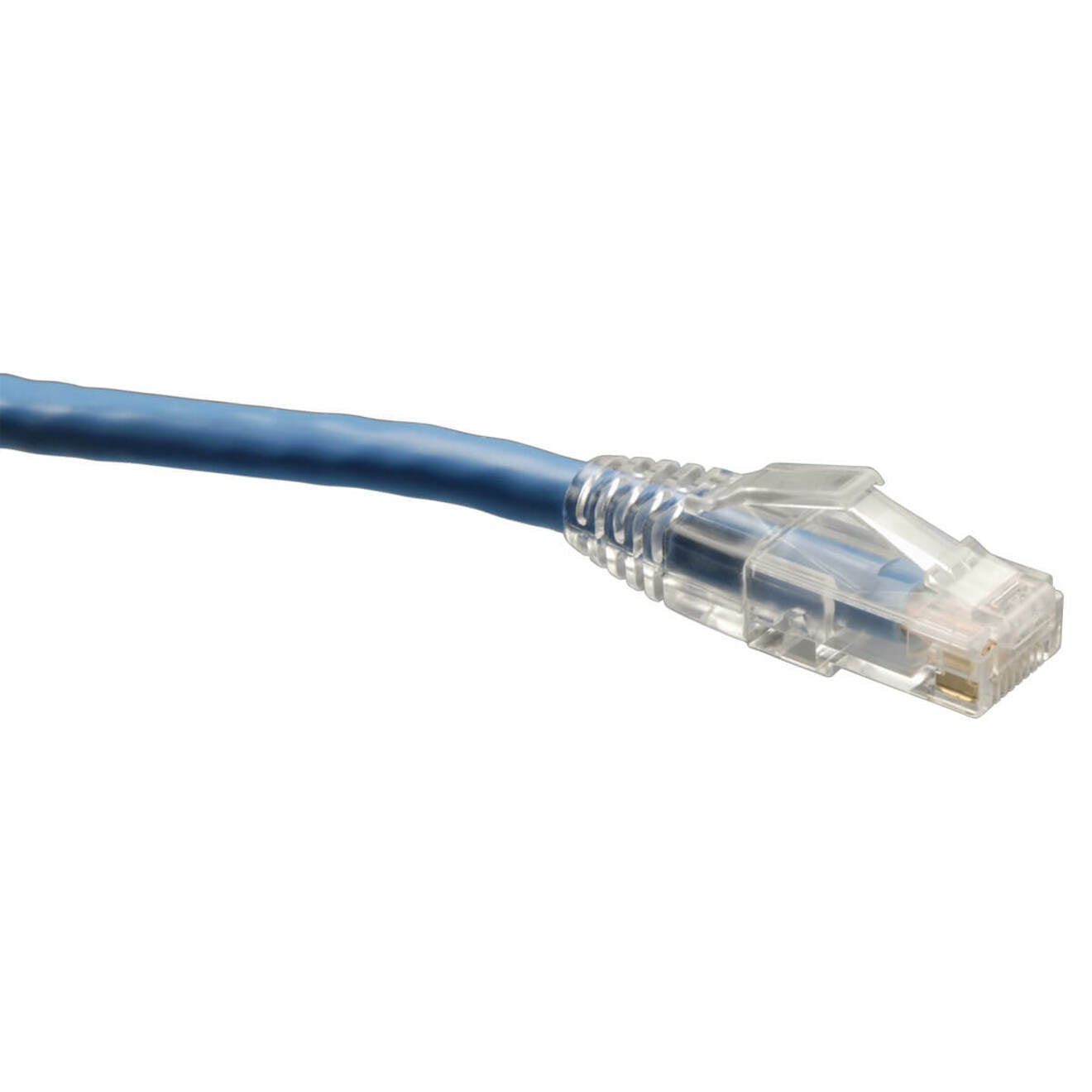 Close-up of Tripp Lite Cat6 cable's blue jacket and clear RJ45 connector with snagless boot-alternate-image1