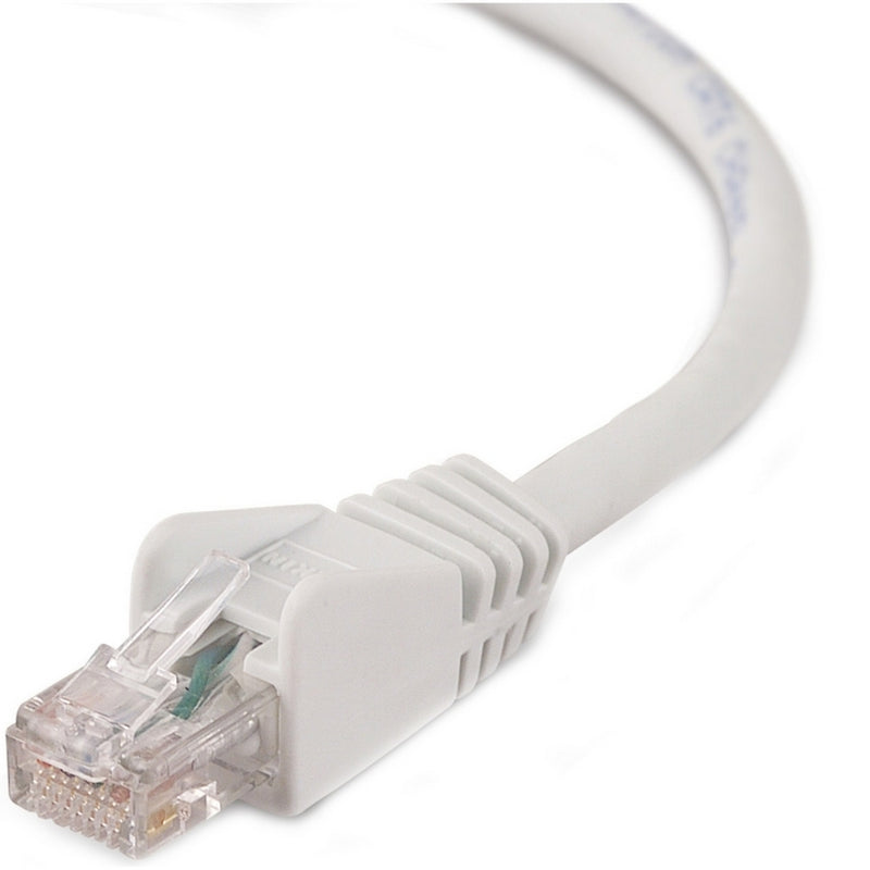 Close-up view of Belkin Cat6 network cable's RJ-45 connector with snagless boot and strain relief design