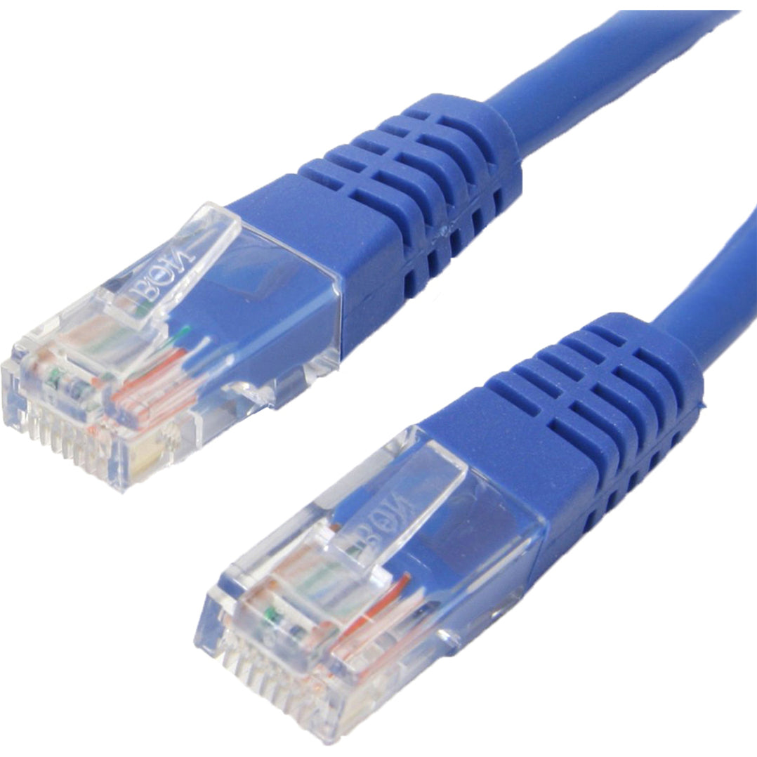 Close-up view of transparent RJ45 connectors on blue Cat6 ethernet patch cable showing internal wiring-alternate-image1