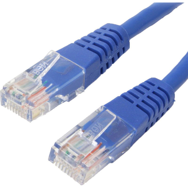 Close-up view of transparent RJ45 connectors on blue Cat6 ethernet patch cable showing internal wiring