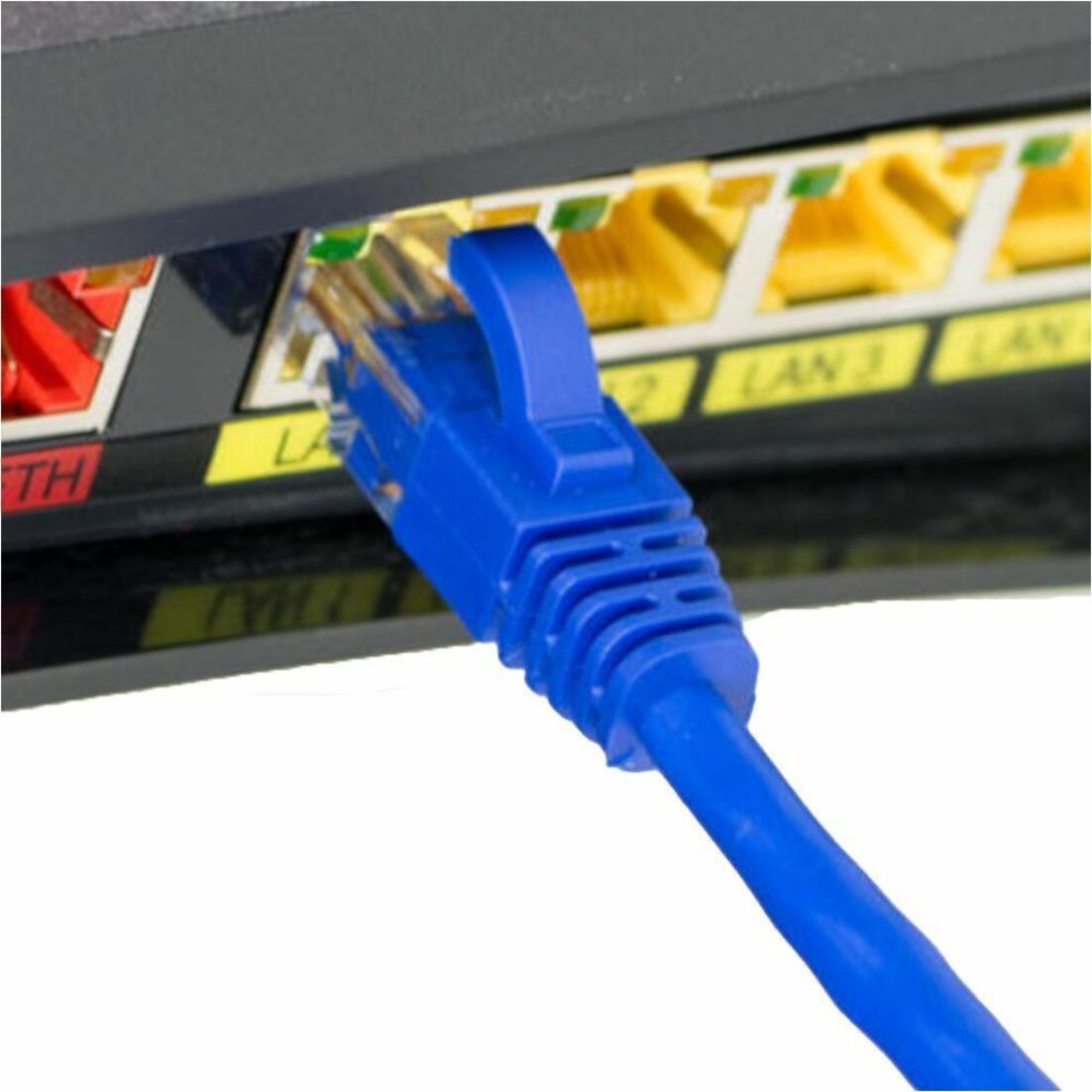 Close-up of blue Cat6 ethernet cable being inserted into network switch port-alternate-image4