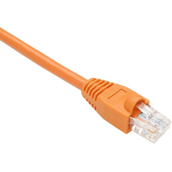 Close-up view of orange Cat.6 network cable with snagless RJ-45 connector and transparent terminal