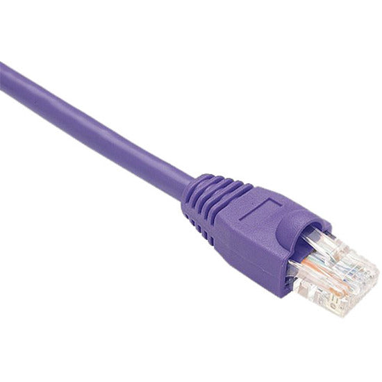 Close-up view of purple Cat.6 network cable with snagless RJ-45 connector showing clear connector pins-alternate-image1