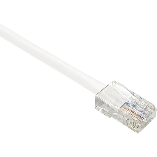 Close-up view of white Cat.6 network cable with transparent RJ-45 connector showing internal copper conductors