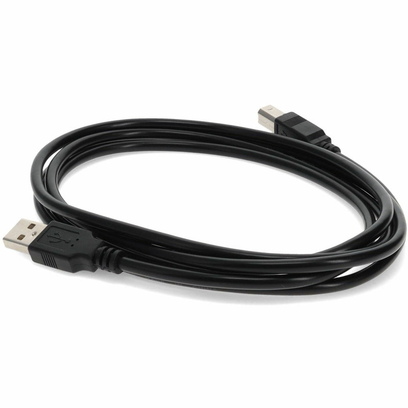 Black USB 2.0 cable coiled showing both male connectors from side view