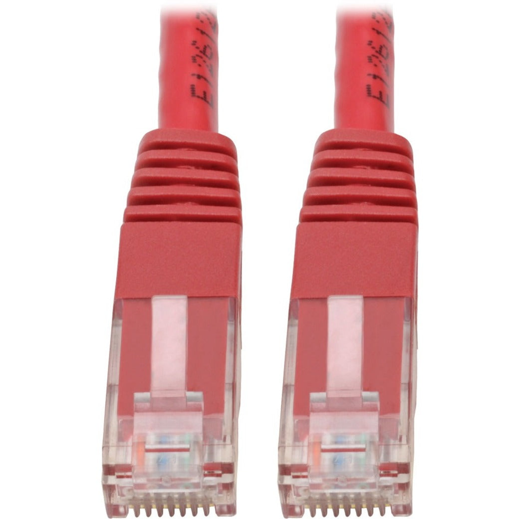 Close-up view of red Cat6 ethernet cable RJ45 connectors with clear housing and gold contacts-alternate-image1