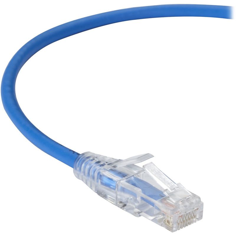 Close-up view of Black Box Slim-Net Cat6a cable with transparent RJ-45 connector and blue cable jacket