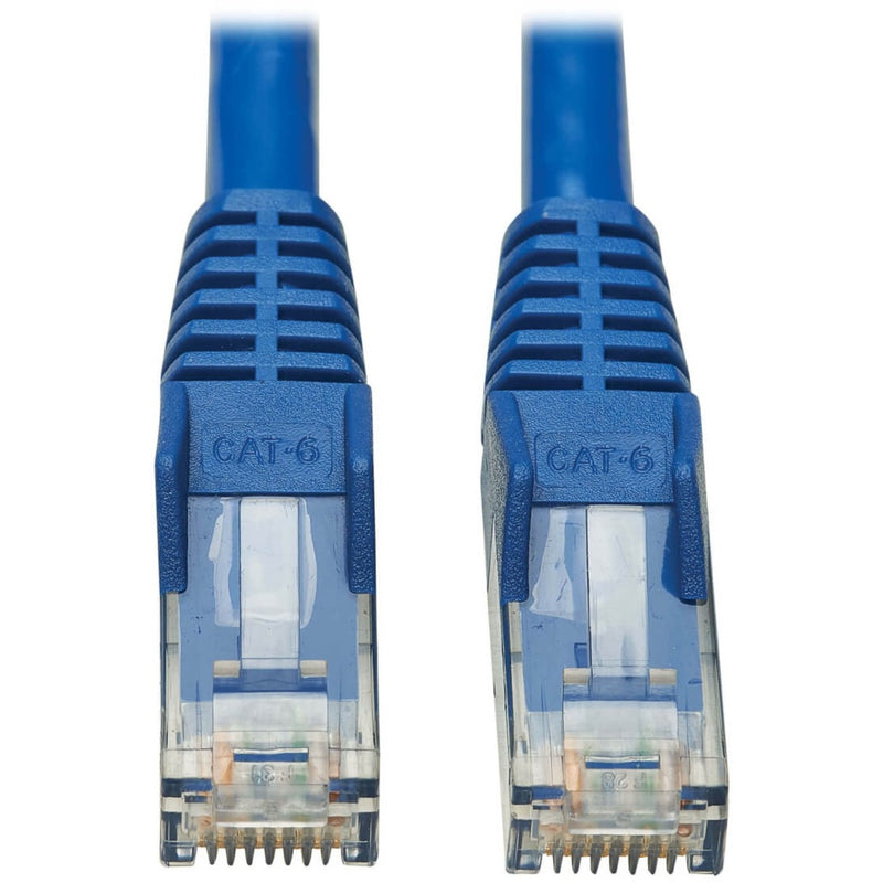 Close-up view of two blue Cat6 RJ45 connectors showing gold-plated pins and transparent housing