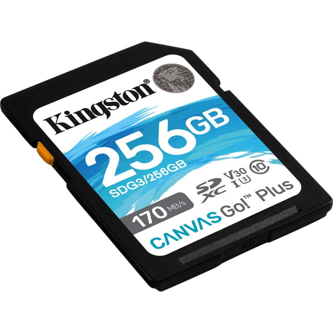 Kingston 256GB SDXC CANVAS GO PLUS 170R C10 UHS-I U3 V30 (SDG3/256GB)