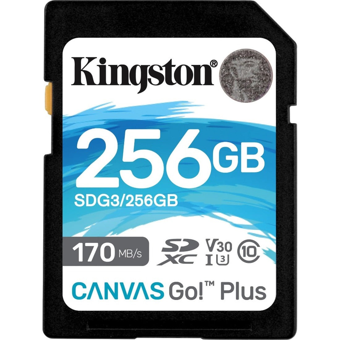 Kingston Canvas Go! Plus 256GB SDXC memory card front view showing capacity and speed specifications-alternate-image1