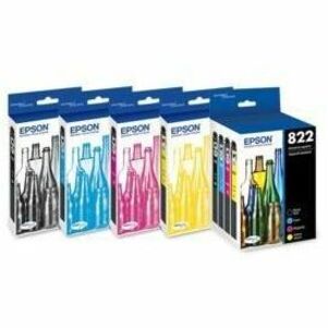 Epson T822 T822120-S Standard Capacity Black Ink Cartridge with Sensormatic