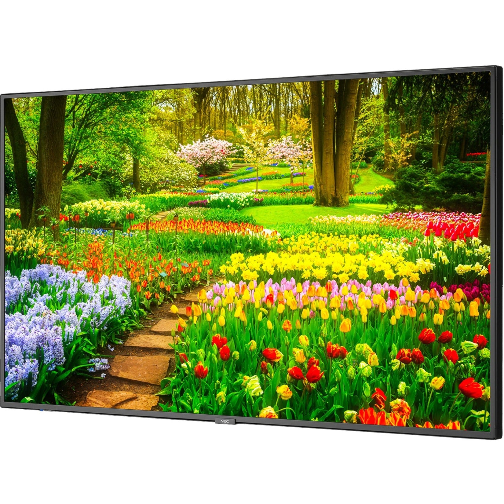 NEC Display 49IN LED LCD UHD HIGH HAZE 24/7 500NITS (M491-AVT3 ...