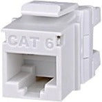 Front view of Signamax CAT6 commercial copper jack in dark ivory showing RJ45 port and CAT6 labeling-alternate-image1