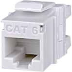 Detailed view of Signamax CAT6 jack highlighting construction quality and dark ivory finish