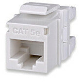 Angled perspective of white Signamax CAT5E keystone jack showing connector profile and construction