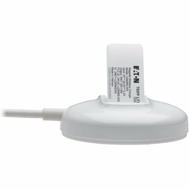 Detail of product information label on MagSafe charger