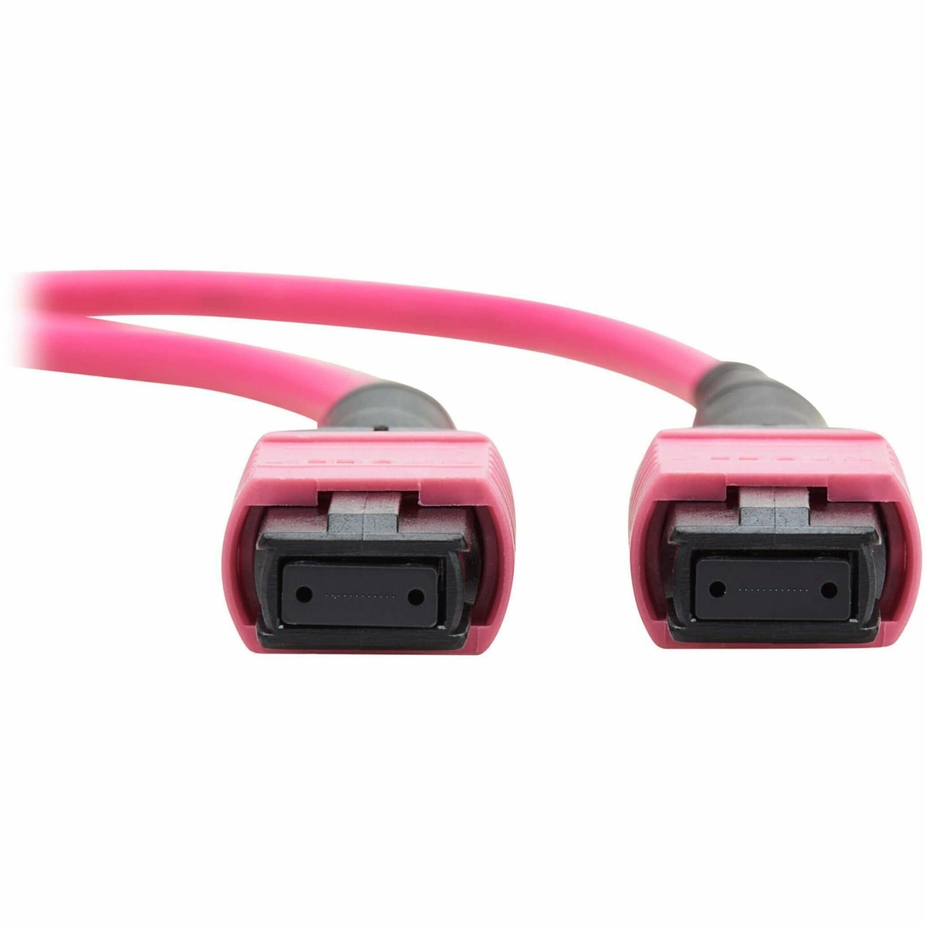 Cables de Conector Tripp Lite por Eaton (N845B02M12MTA) (N845B-02M-12MTA)