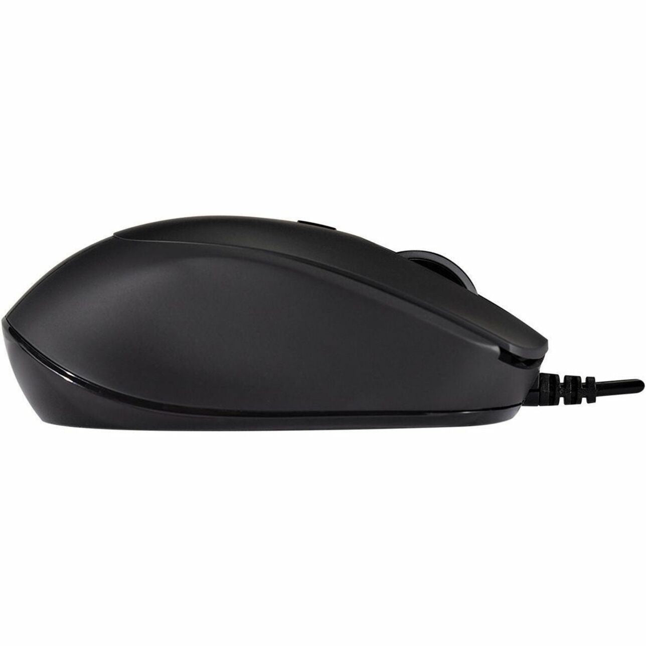 V7 MU350 Souris Professionnelle Silencieuse USB Filaire - Optique - Câble de 1.6m - Noir - USB - 2500 dpi - Molette de Défilement - 4 Boutons - Toucher Doux - Clics Silencieux - Plug and Play