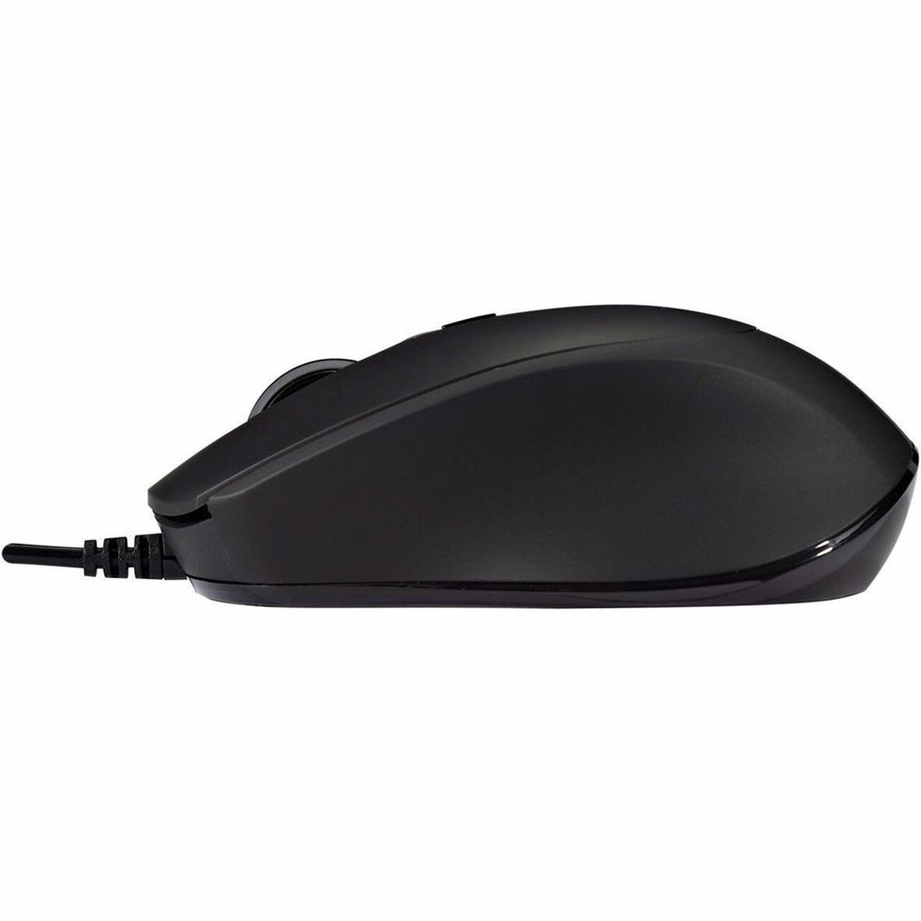 Mouse Profesional Silencioso USB Con Cable V7 MU350 - Óptico - Cable de 1.6m - Negro - USB - 2500 dpi - Rueda de Desplazamiento - 4 Botones - Tacto Suave - Clics Silenciosos - Conectar y Usar