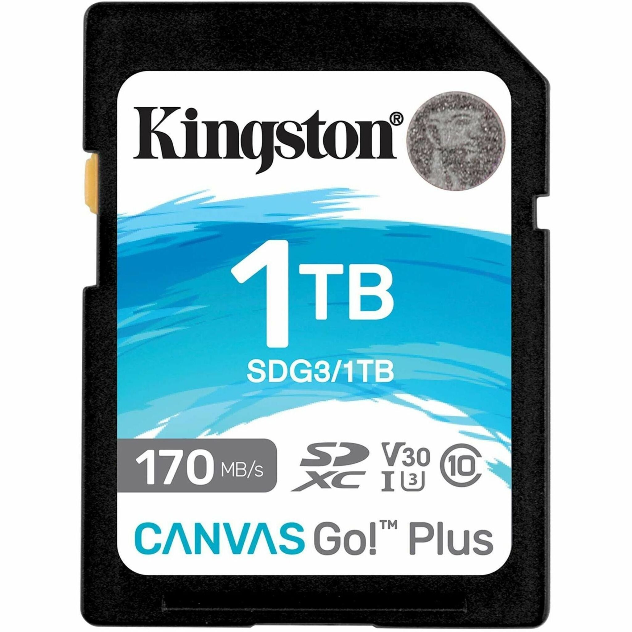 Kingston Canvas Go! Plus 1 TB Class 10/UHS-I (U3) V30 SDXC (SDG3/1TB)