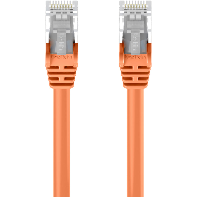 Close-up of Belkin Cat5e patch cable RJ45 connector pins and contacts