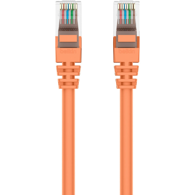 Close-up view of Belkin Cat5e patch cable RJ45 connectors showing color-coded internal wiring and orange snagless boots