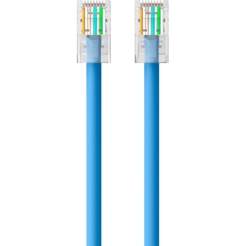 Close-up view of Belkin Cat5e cable's RJ45 connector showing internal wiring and gold-plated contacts