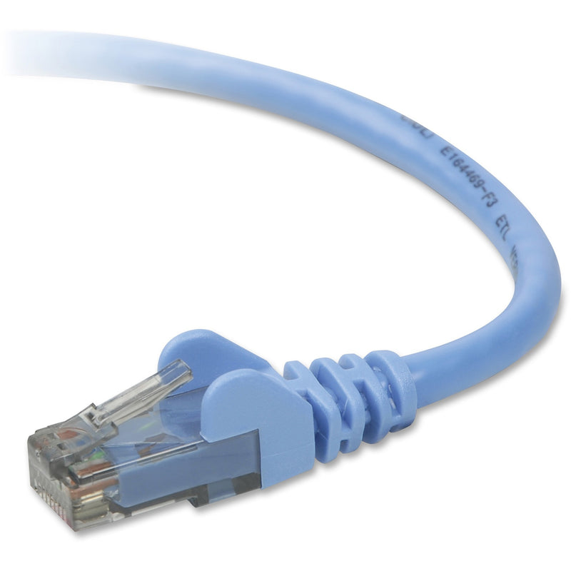 Close-up view of Belkin Cat6 network cable's blue snagless RJ45 connector and cable jacket