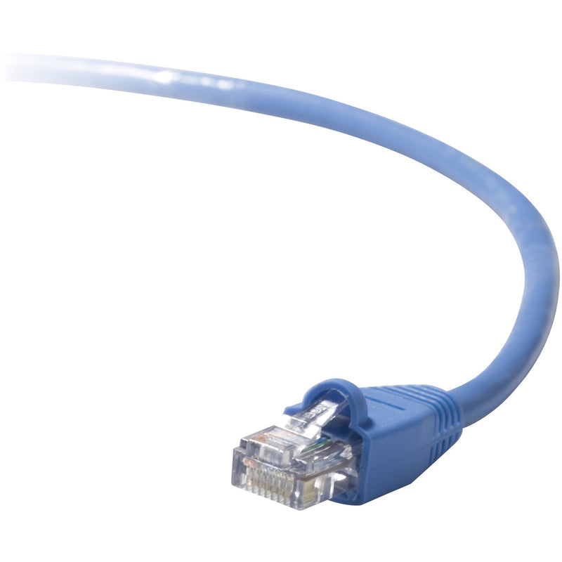 Close-up view of Belkin CAT5e cable's gold-plated RJ45 connector with blue snagless boot