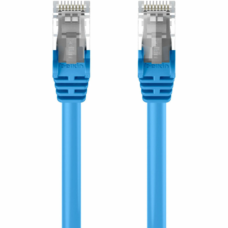 Macro view of Belkin Cat5e crossover cable RJ45 connector showing gold contacts and clear housing