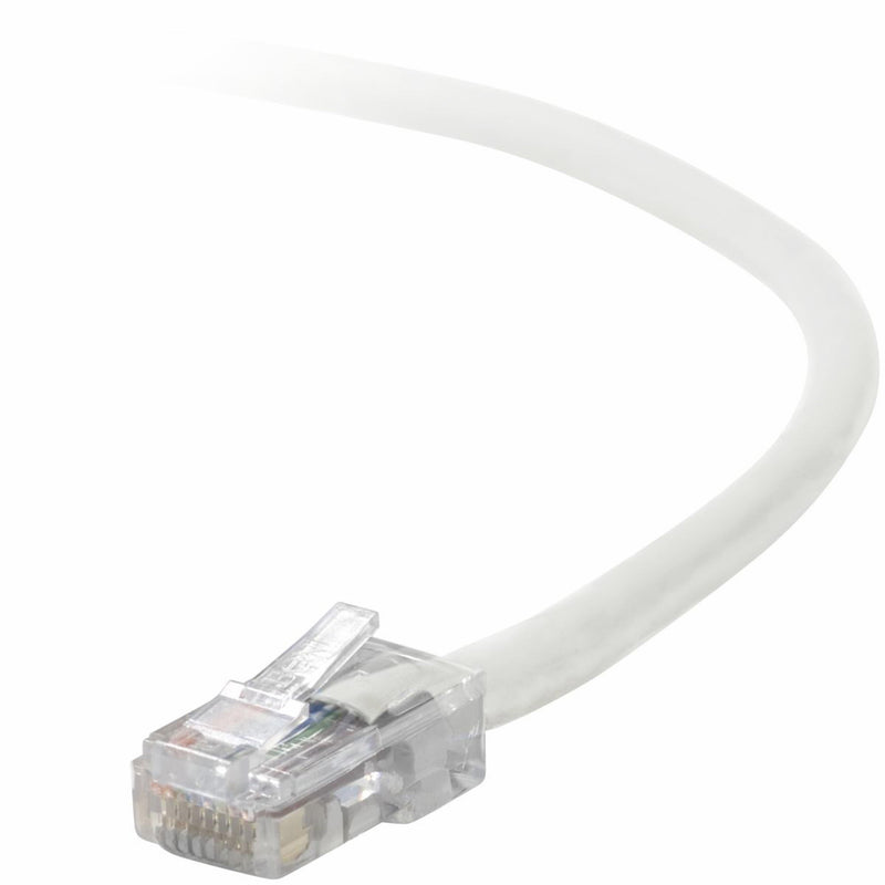 Close-up view of Belkin Cat5e network cable's white jacket and transparent RJ45 connector with gold-plated pins