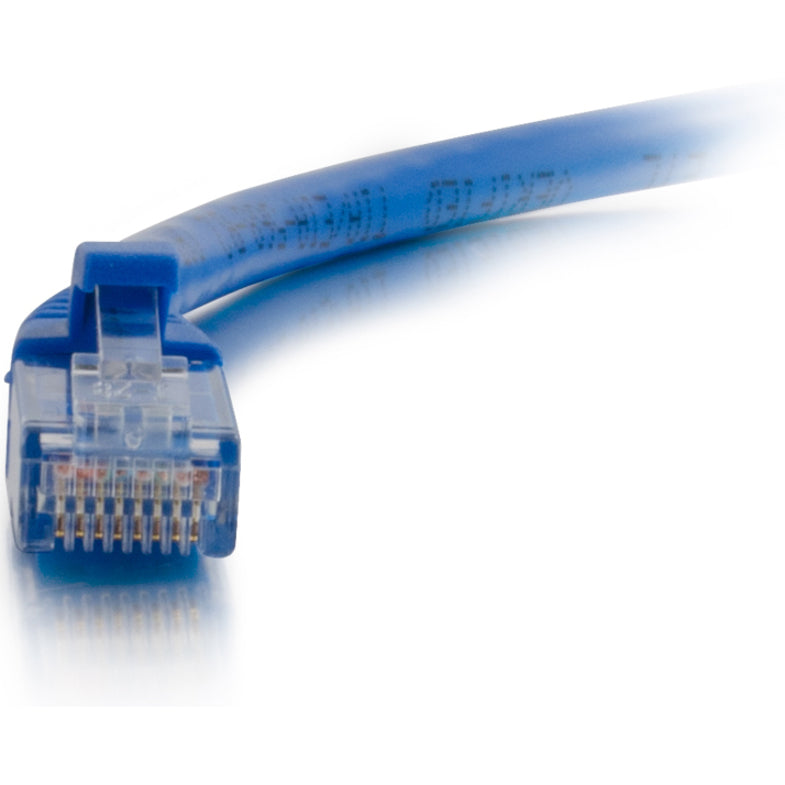 Macro shot of Cat6 ethernet connector showing internal pin structure and contact array