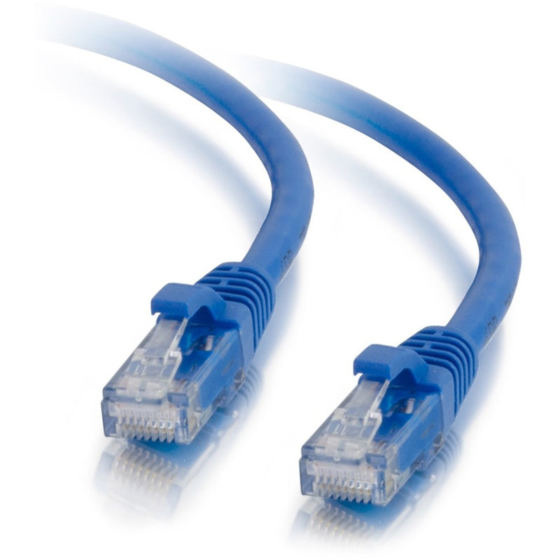 Close-up view of blue Cat5e ethernet cable ends showing clear RJ-45 connectors and snagless boots