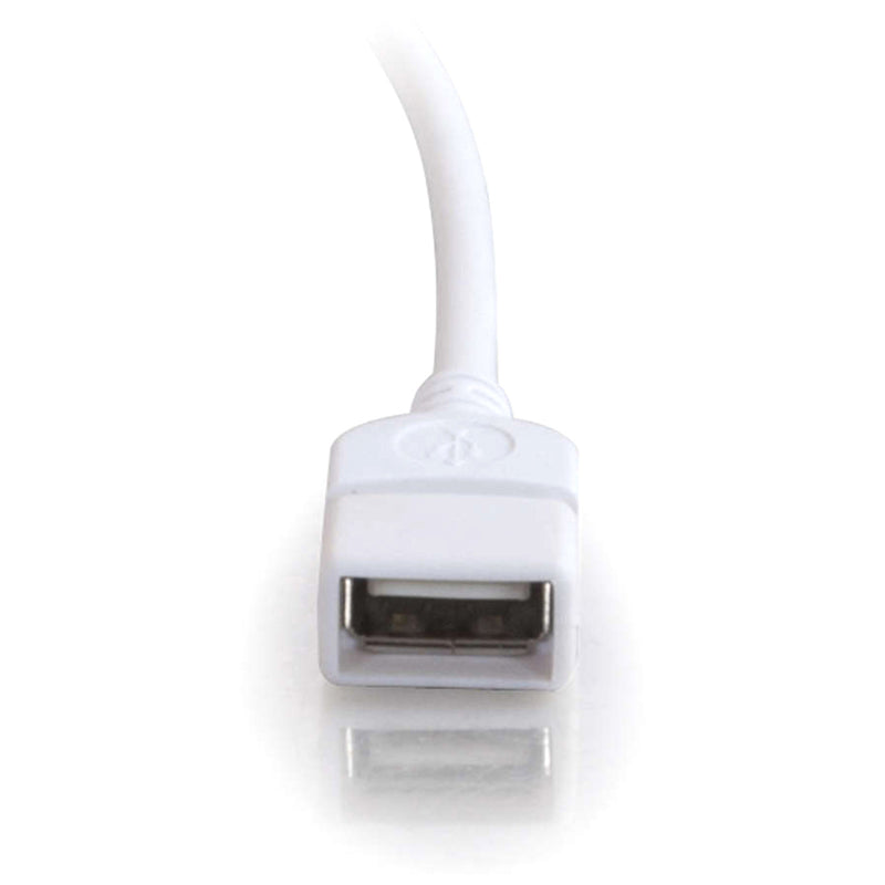 Close-up of USB Type-A female connector end showing port design