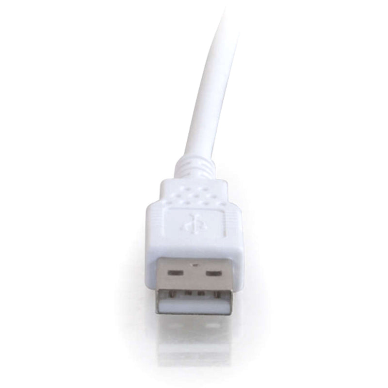 Detailed view of USB Type-A male connector showing metal contacts and white housing