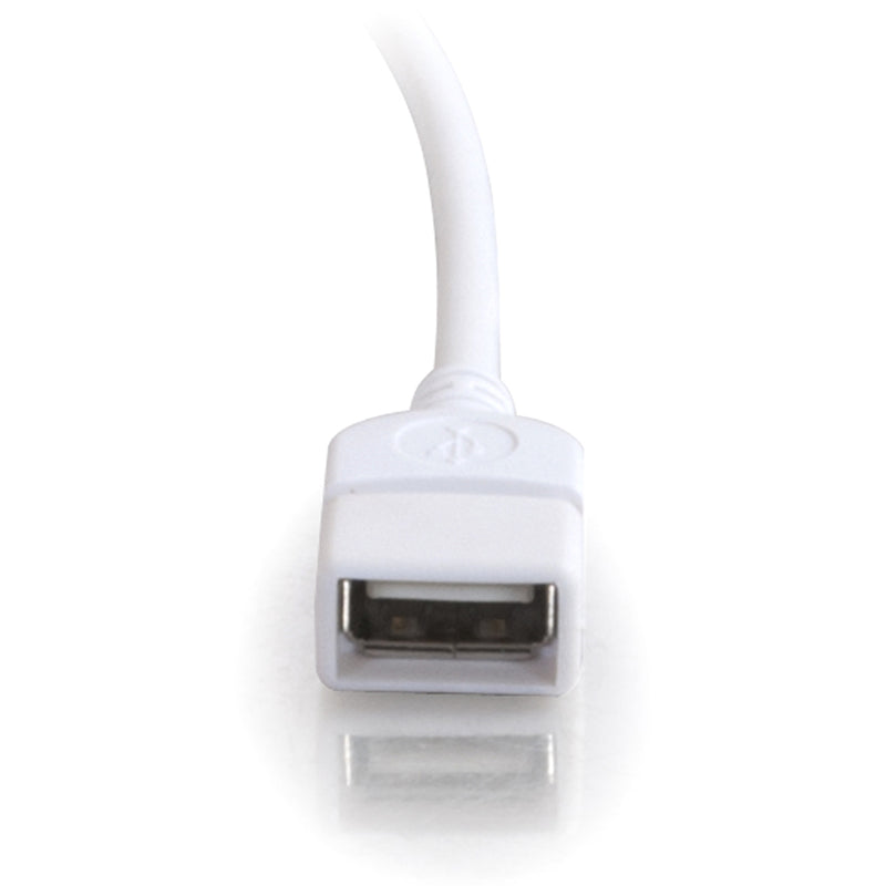 Detailed view of white USB Type-A female connector port