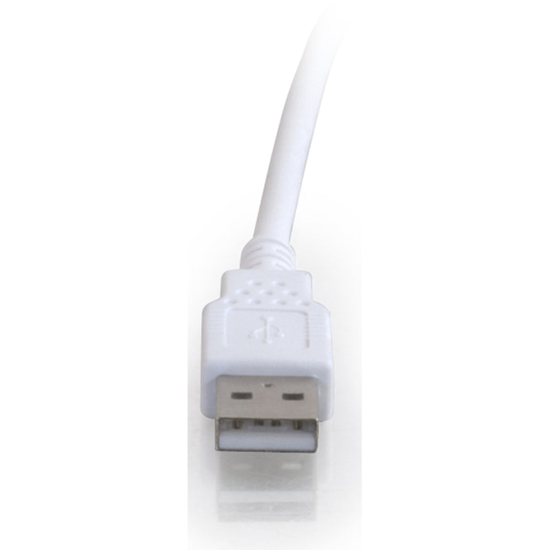 Close-up view of white USB Type-A male connector end