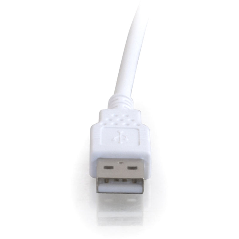 Close-up detail of USB Type-A male connector with white housing