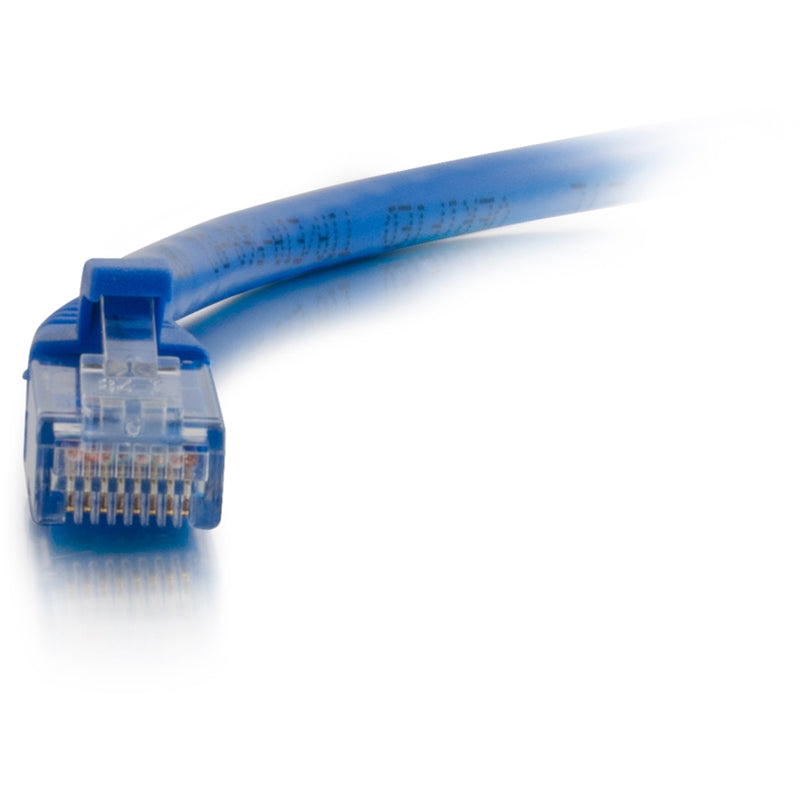 Macro shot of Cat6 ethernet connector showing detailed pin configuration and blue cable jacket