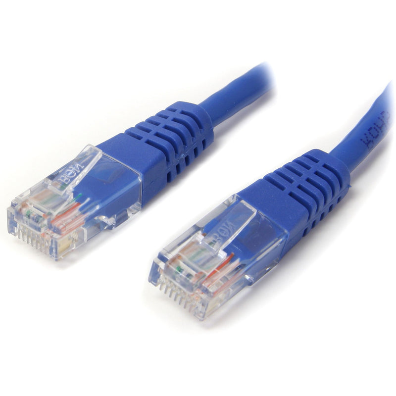 Close-up view of gold-plated RJ45 connectors on blue Cat5e ethernet patch cable showing strain relief and wire termination