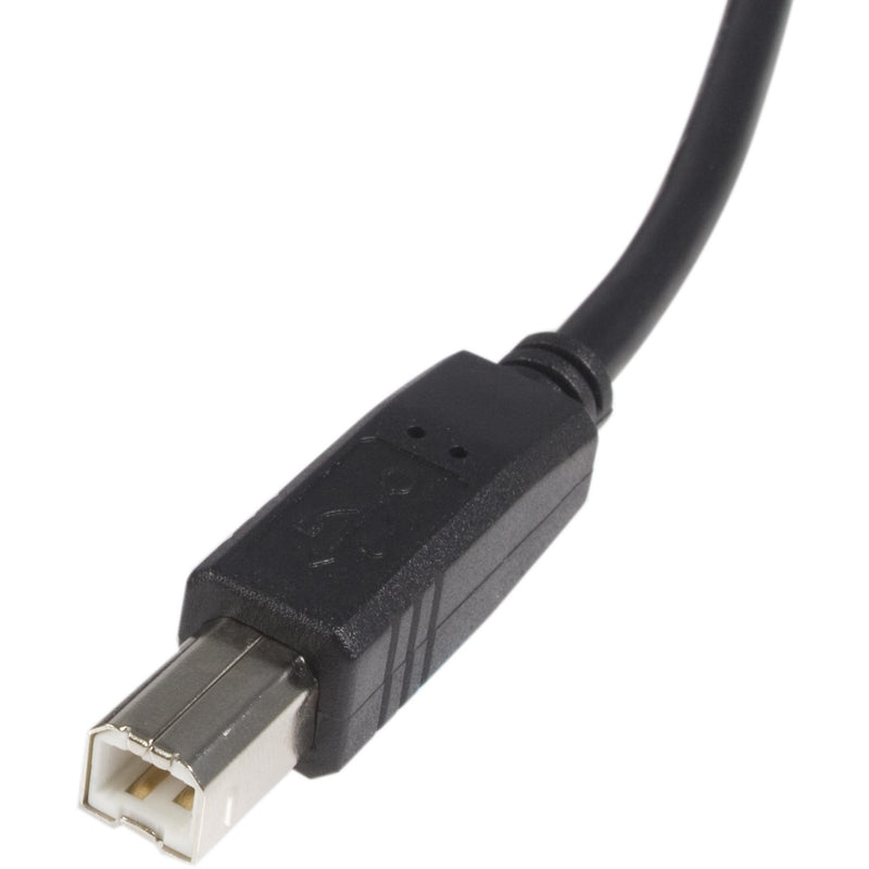 Close-up detail of USB Type-B connector on StarTech.com USB 2.0 cable