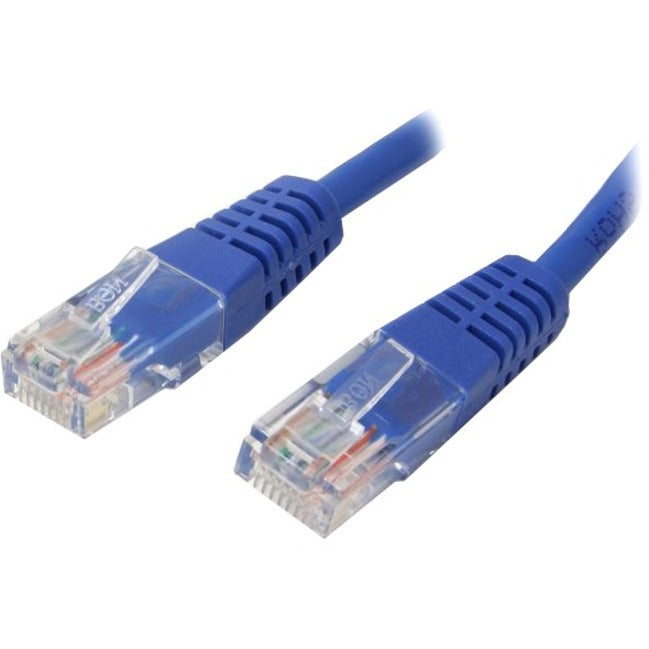 Close-up view of blue Cat5e ethernet cable with transparent RJ45 connectors showing gold-plated contacts