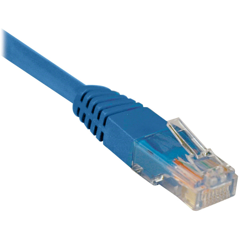 Close-up view of blue Cat5e ethernet cable RJ45 connector with strain relief and transparent housing