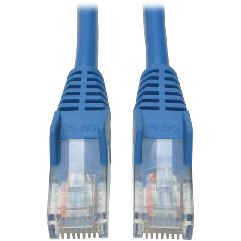 Close-up view of blue Cat5e network cable ends showing transparent RJ45 connectors with snagless strain relief boots