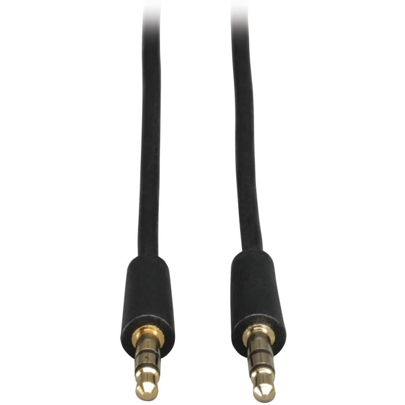 Close-up view of Tripp Lite P312-006 audio cable showing gold-plated 3.5mm male connectors on both ends with black cable housing