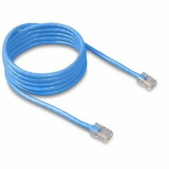 Blue Belkin Cat5e ethernet patch cable with RJ45 connectors coiled in a circular pattern