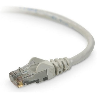 Close-up view of RJ45 connector with snagless boot design and gold-plated contacts on Belkin Cat6 network cable